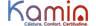 Logo kamin.ro